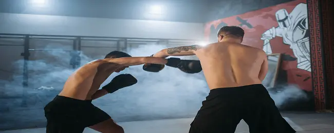 UFC 중계